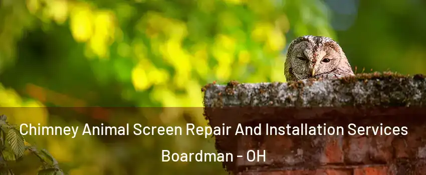  Chimney Animal Screen Repair And Installation Services Boardman - OH