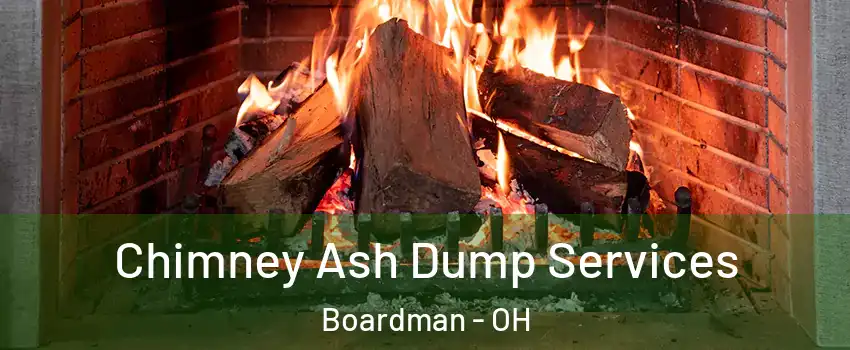  Chimney Ash Dump Services Boardman - OH