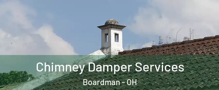  Chimney Damper Services Boardman - OH