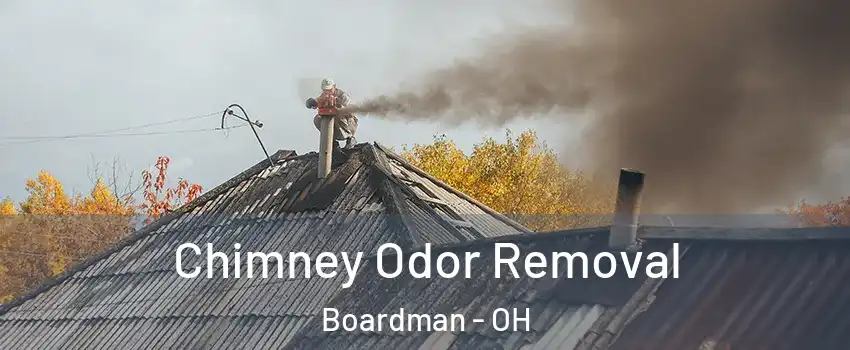  Chimney Odor Removal Boardman - OH
