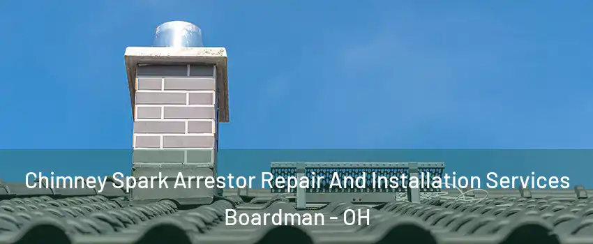  Chimney Spark Arrestor Repair And Installation Services Boardman - OH
