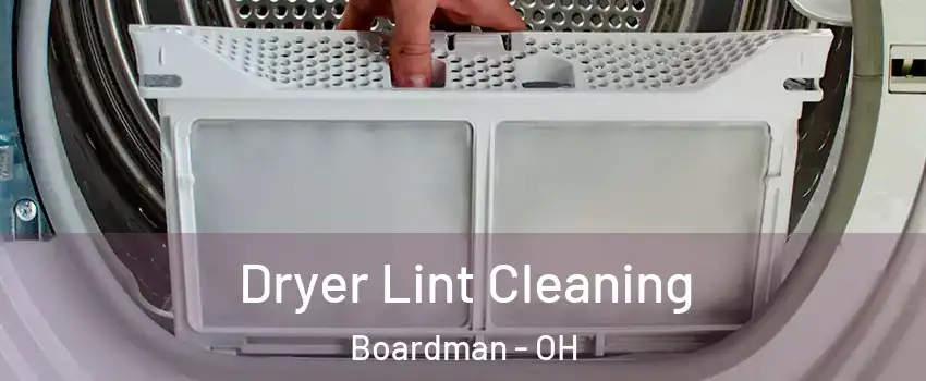  Dryer Lint Cleaning Boardman - OH