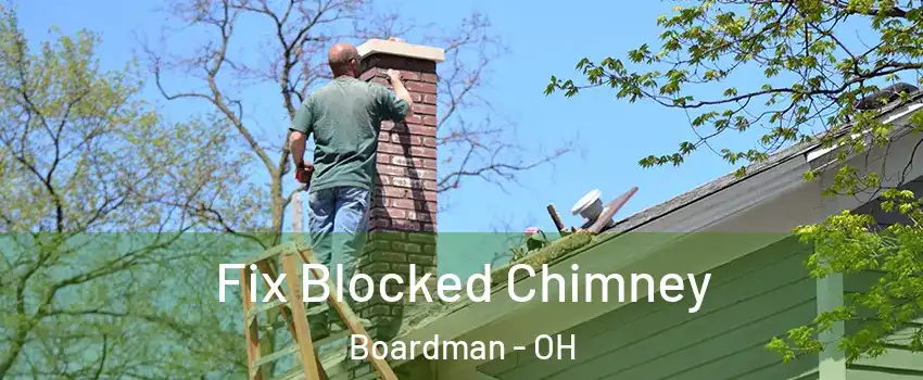 Fix Blocked Chimney Boardman - OH