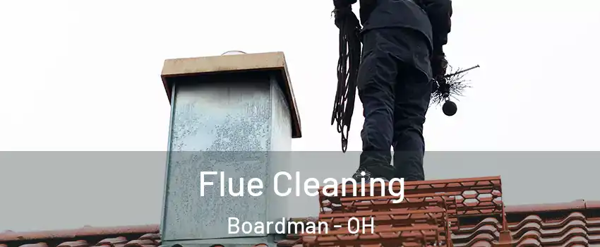  Flue Cleaning Boardman - OH
