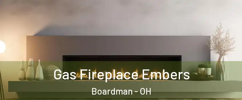  Gas Fireplace Embers Boardman - OH
