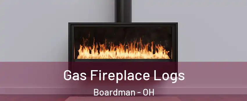  Gas Fireplace Logs Boardman - OH