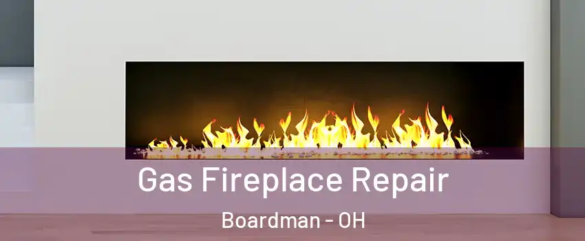  Gas Fireplace Repair Boardman - OH