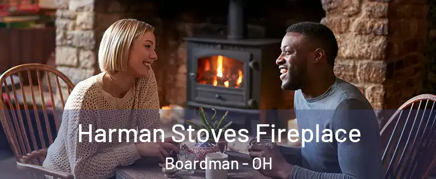  Harman Stoves Fireplace Boardman - OH