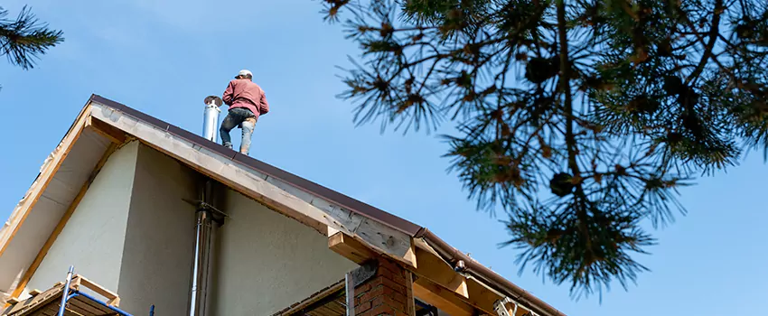 Birds Removal Contractors from Chimney in Boardman, OH