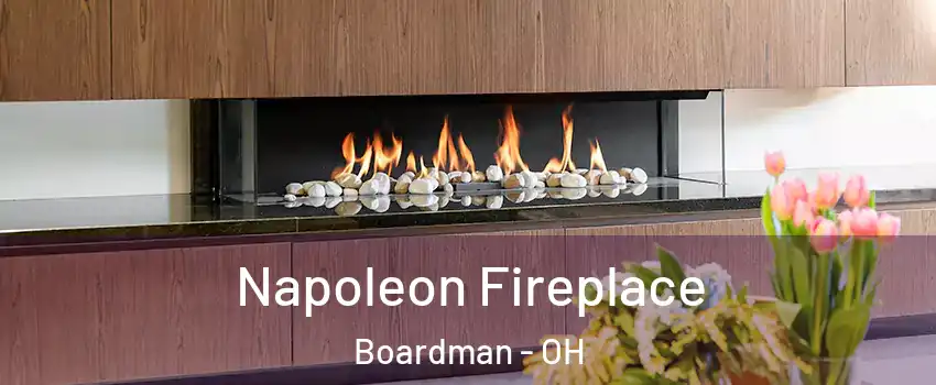  Napoleon Fireplace Boardman - OH